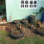 Imagens do curso de hortas em jardim funcional e cultivo em espaços limitados